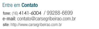 Segurança Empresarial em Ribeirão Preto